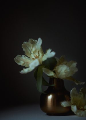 Tulpe bei Nacht von Jona Rothert Kiel